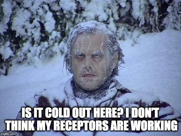 What Is Homeostasis?