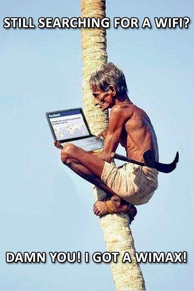 STILL SEARCHING FOR A WIFI MEME