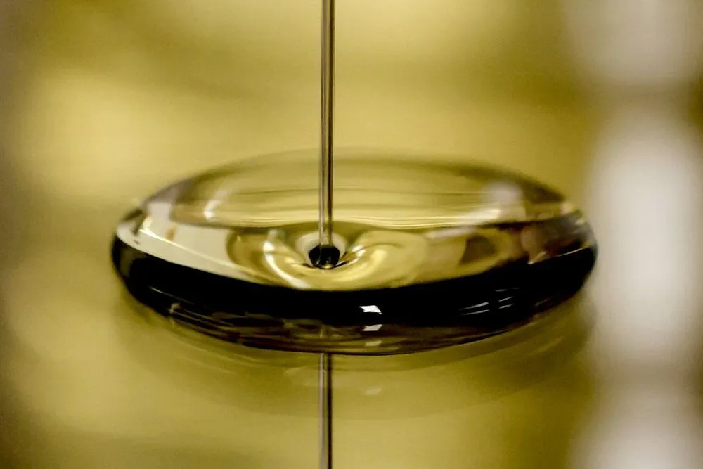 What Are The Differences Between Diesel And Petrol?