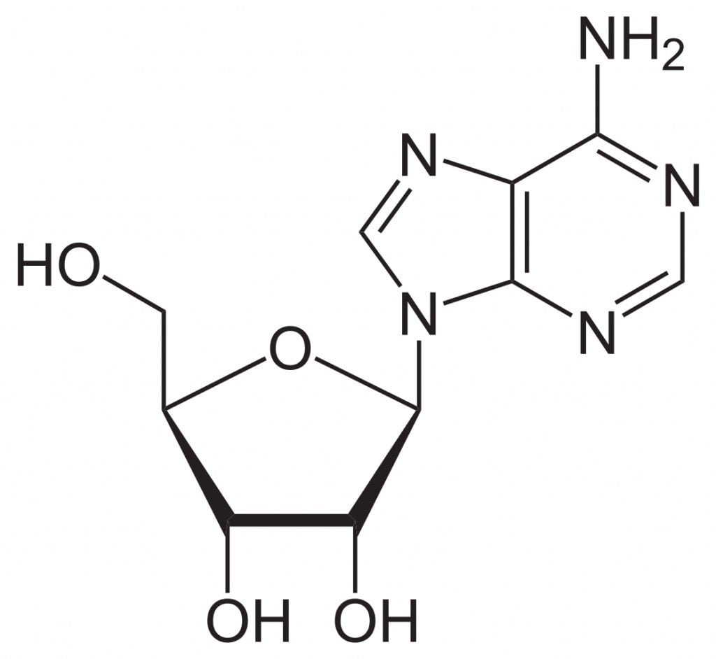 Adenosin
