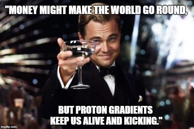 Money might make the world go round meme