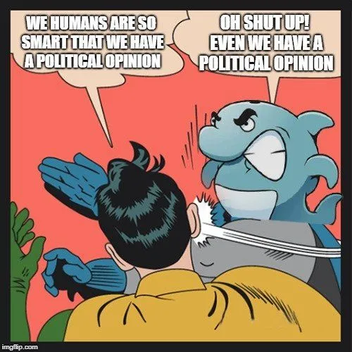 Can We Communicate With Dolphins?