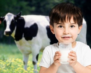 boy with milk glass cow, drinking milk