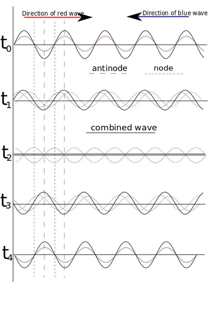 nodes and antinodes