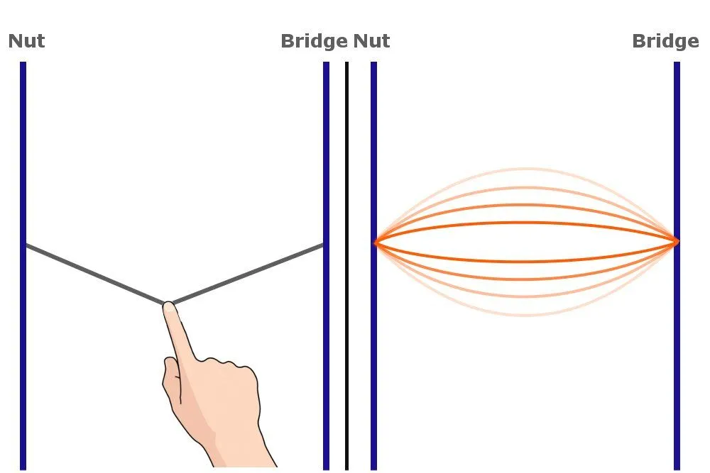 Standing Wave: Definition, Ratio, Examples And Explanation