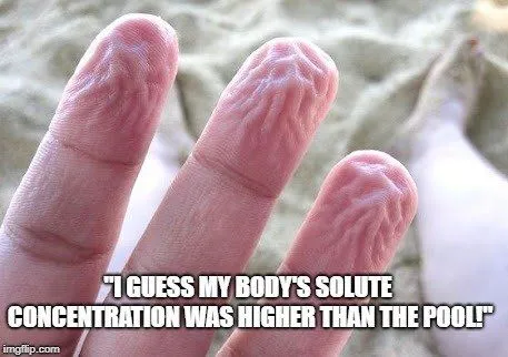 was higher than the pool!