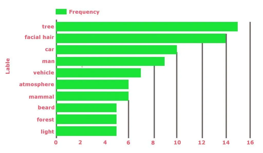 Top 10 labels by frequency for Logan