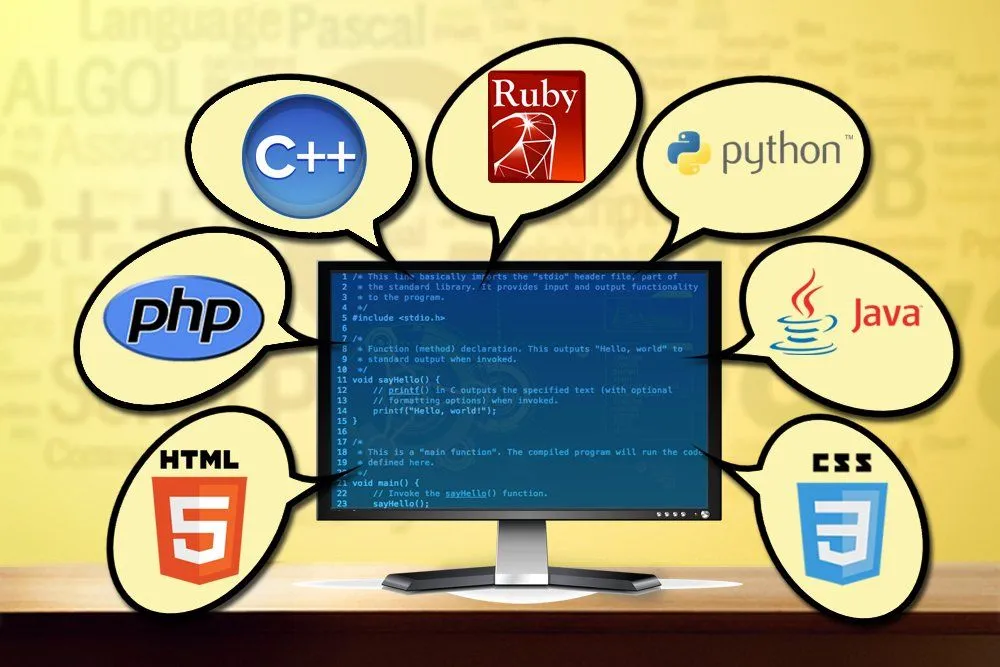 Why There Are So Many Programming Languages?