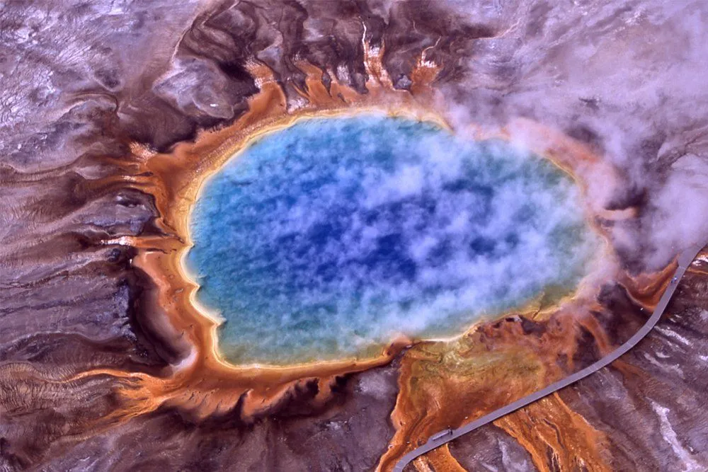 Archaea: Definition, Characteristics And Examples