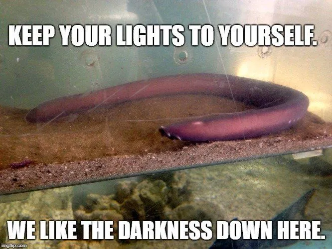 Keep your lights to yourself. meme
