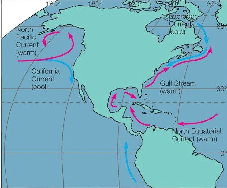 Ocean currents influence the local climate to a great extent
