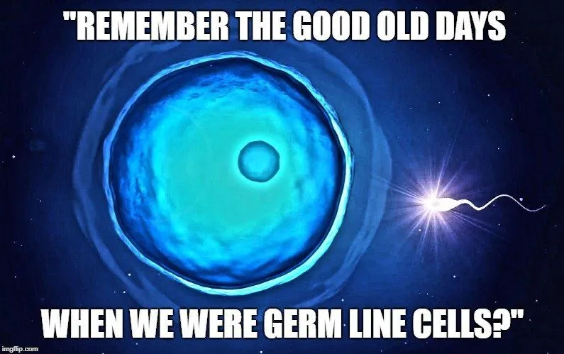 Remember the good old days meme