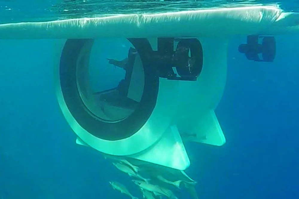Do The Bright Lights Of Sea Submersibles Blind Aquatic Animals?