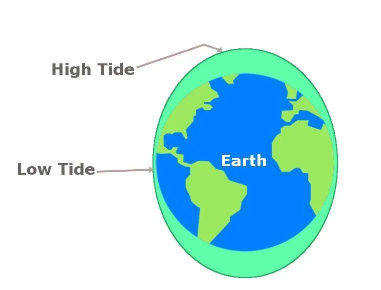 The gravitational pull exerted by the moon results in a bulge.