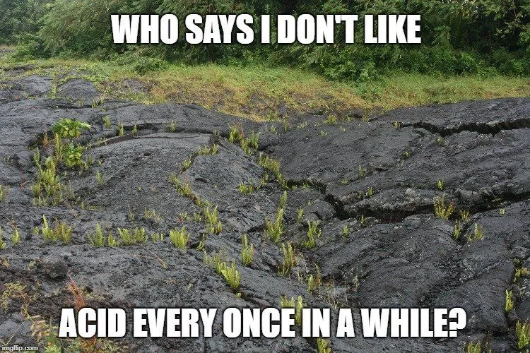 Who says I don't like meme