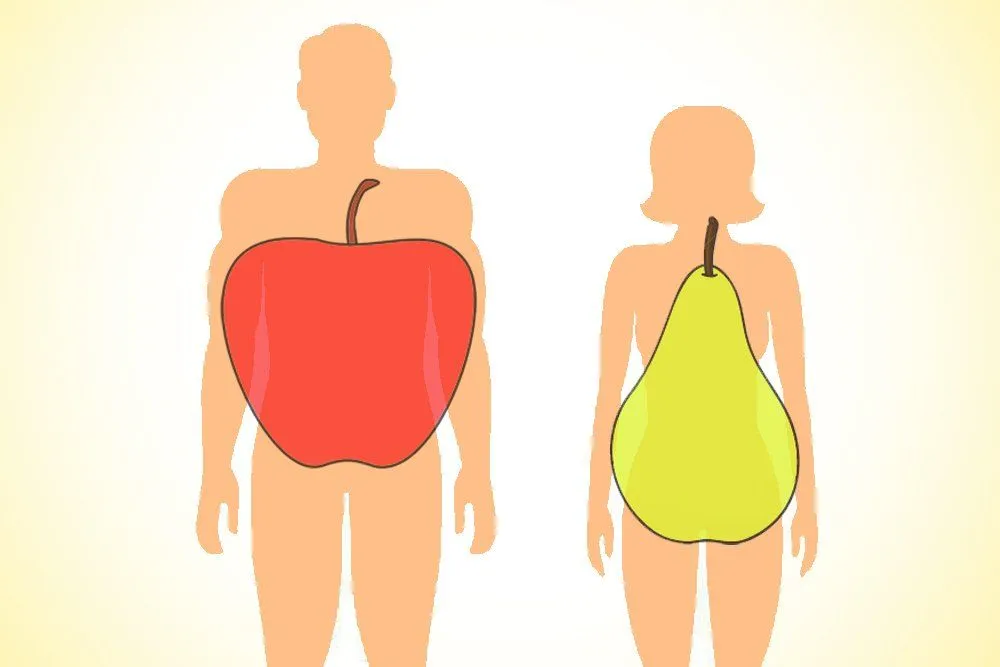 body apple and pear shape