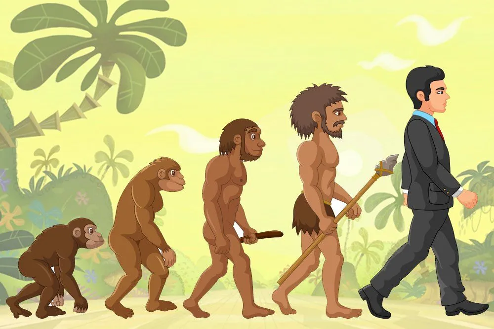 human evolution