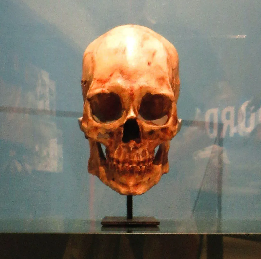 Kennewick Man: History, Facts And Controversy