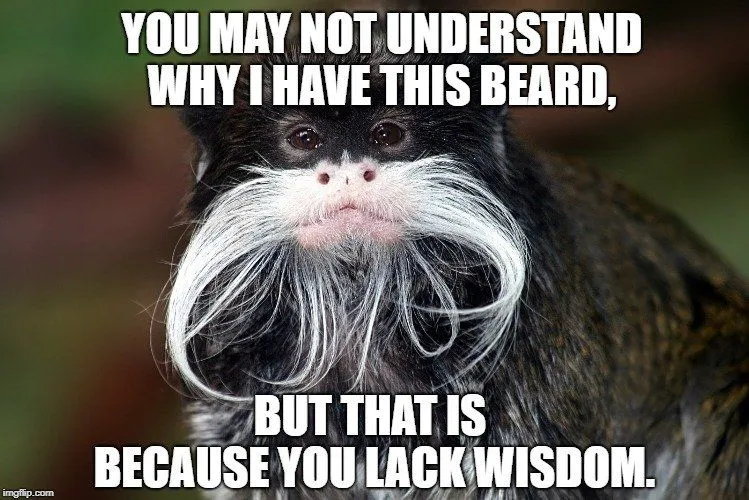 but that is because you lack wisdom meme