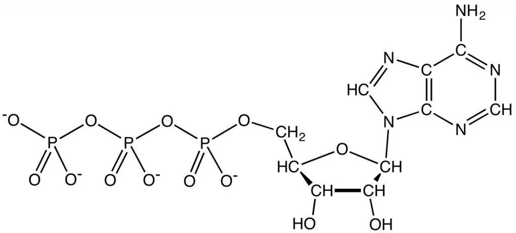 ATPanionChemDraw