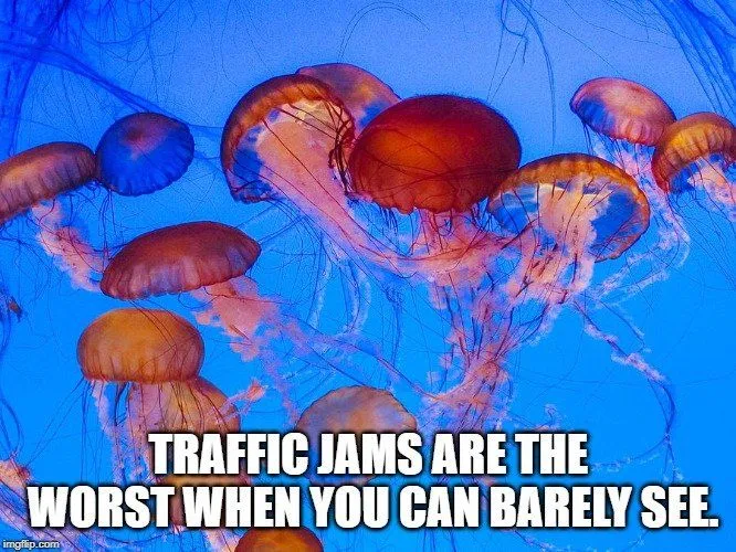 Traffic jams are the worst when you can barely see meme