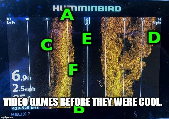 Video games before they were cool meme