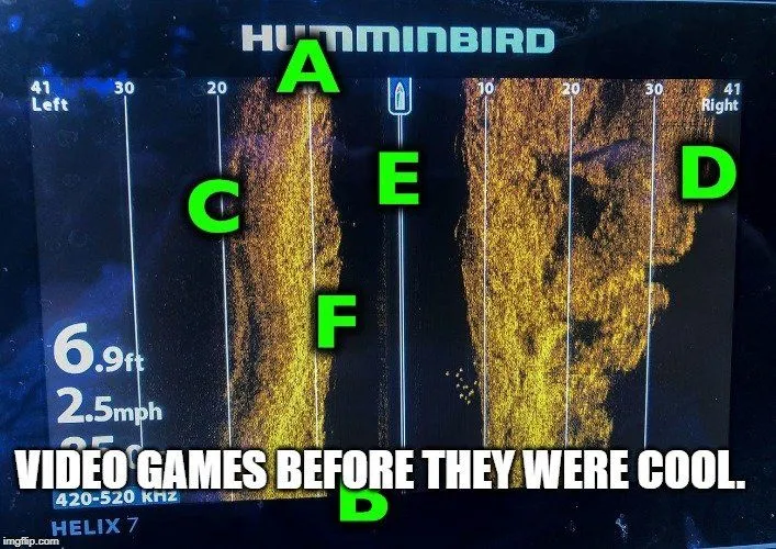 Video games before they were cool meme