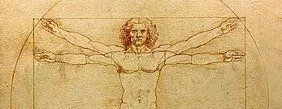What Is The History Of Leonardo Da Vinci's Vitruvian Man?