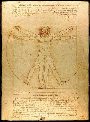 vitruvian man image