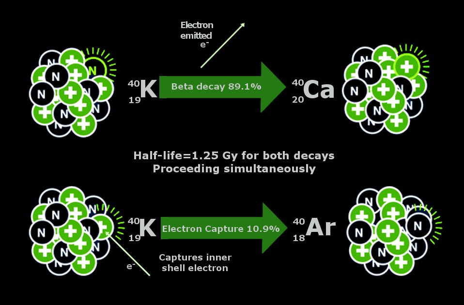 k40 decay, banana radioactive