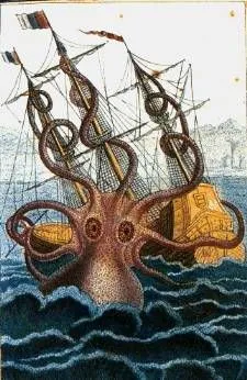 octopus, kraken