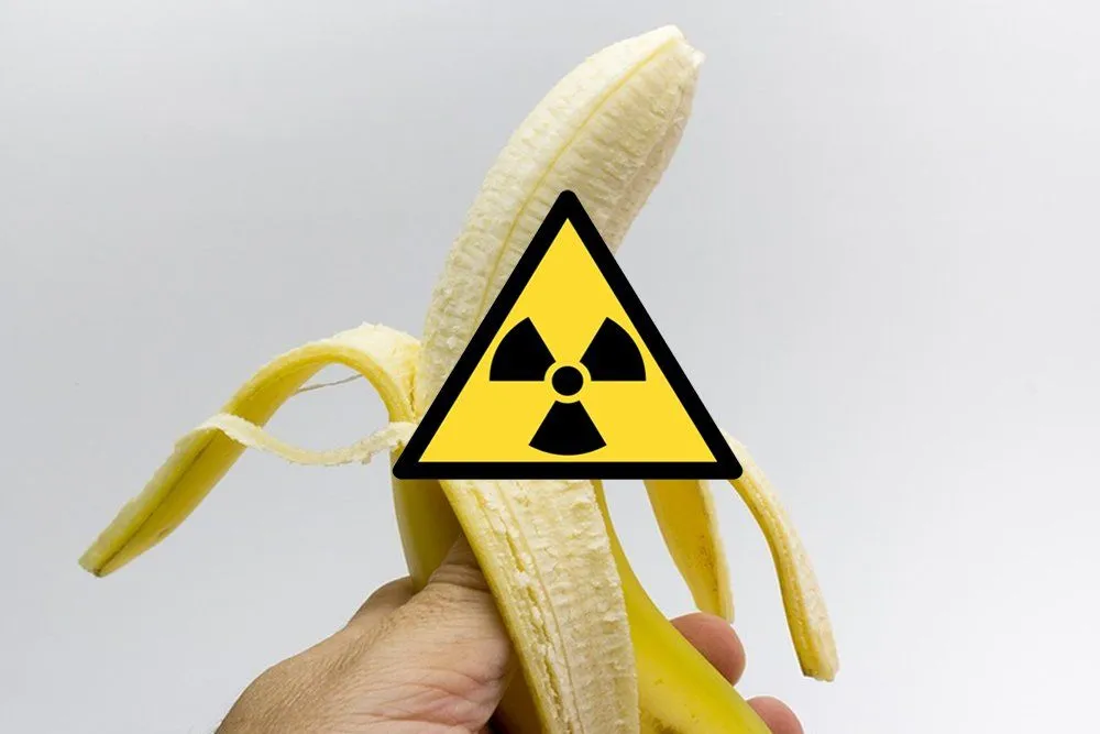 Banana Radiation: Can Eating Bananas Kill You By Radiation Poisoning?