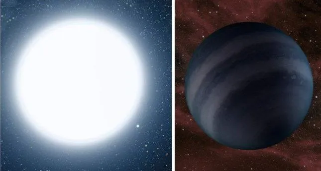 red dwarf white dwarf and black dwarf