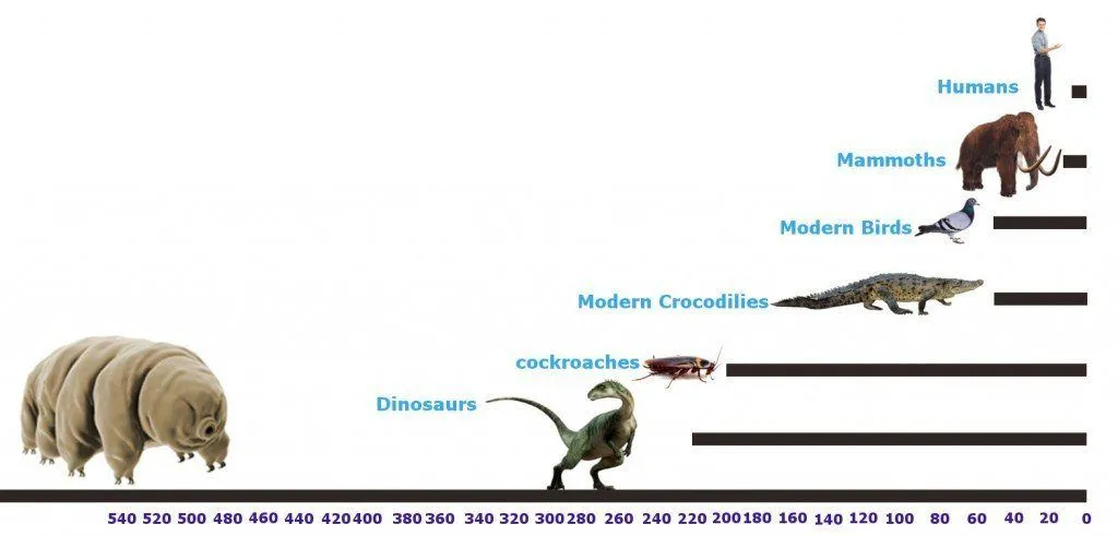 tardigrades 500 millions ago