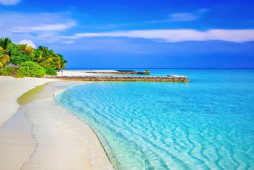 What Would Happen If The Oceans Were Fresh Water?