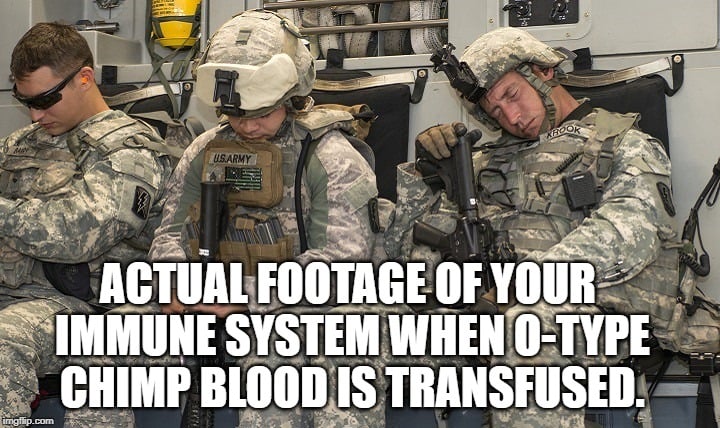Actual footage of your immune system when O-type chimp blood is transfused. meme