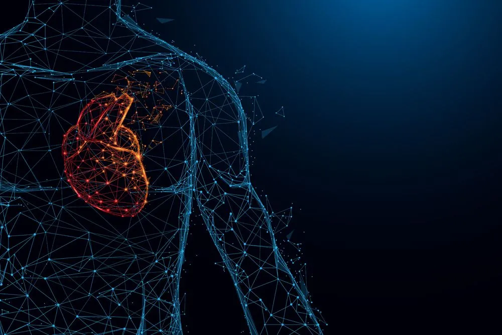 Does Your Body Change Every 7 Years?