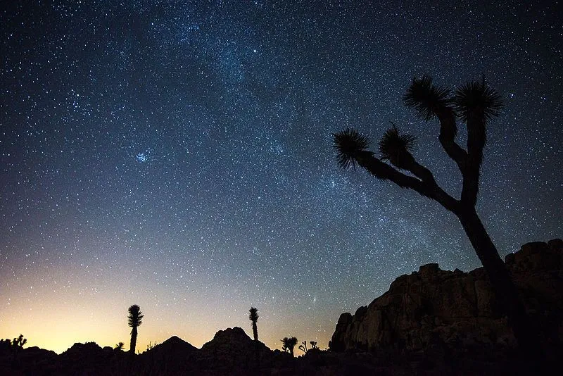 The night sky would bubble with glistening stars and galaxies, which have otherwise, gone unnoticed by the naked eye due to the light pollution 
