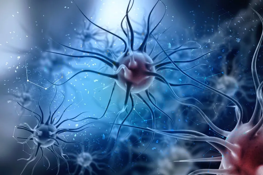 Where Did Viruses Come From?