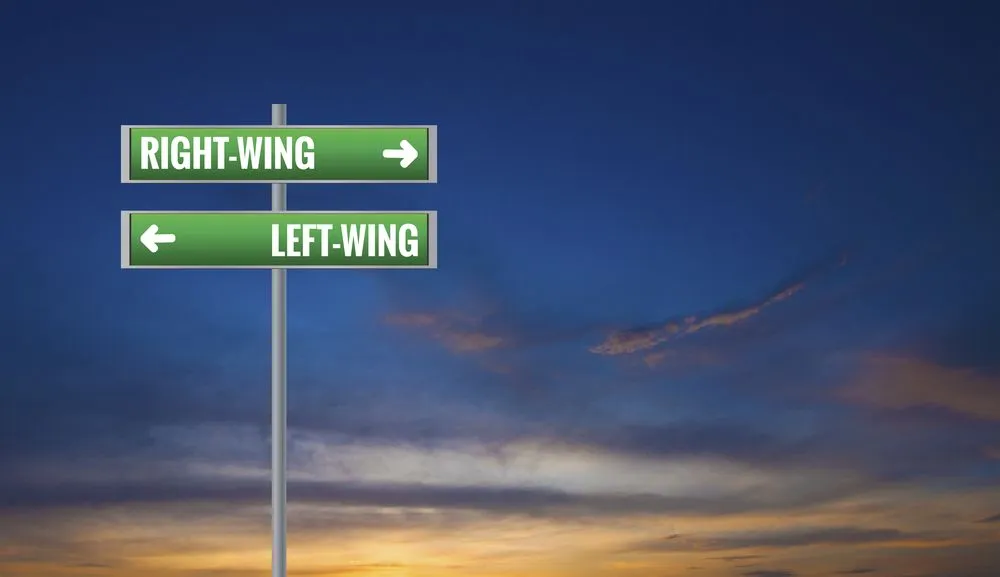 Left Wing Vs Right Wing: What's The Difference?