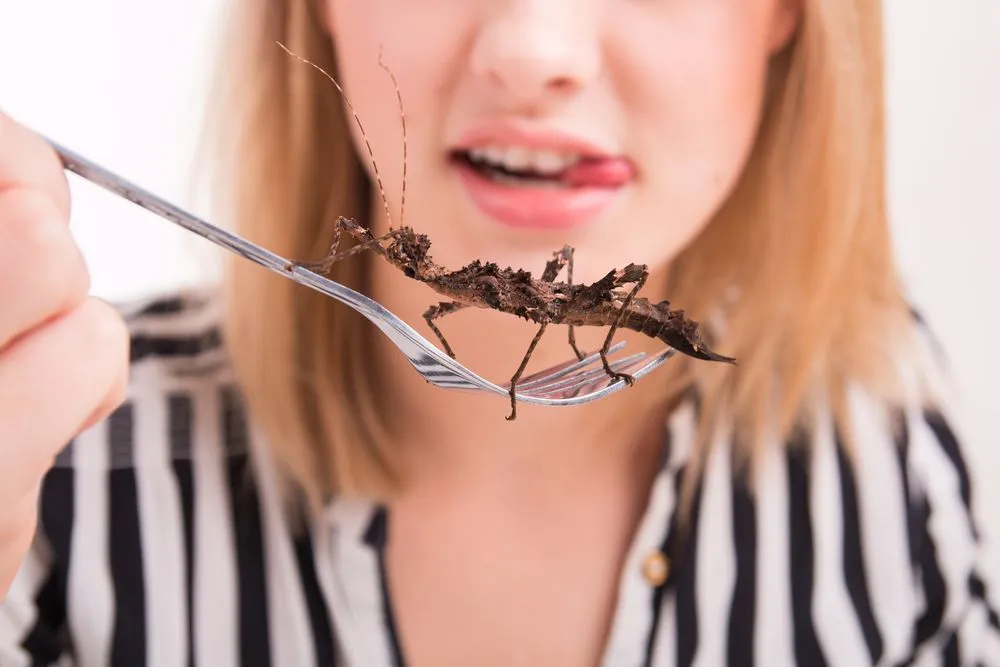 Are Insects The Future Of Food?