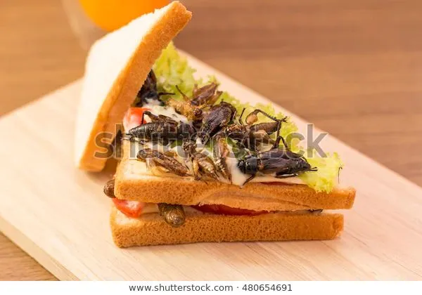 Are Insects The Future Of Food?