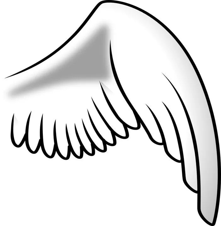 right wing