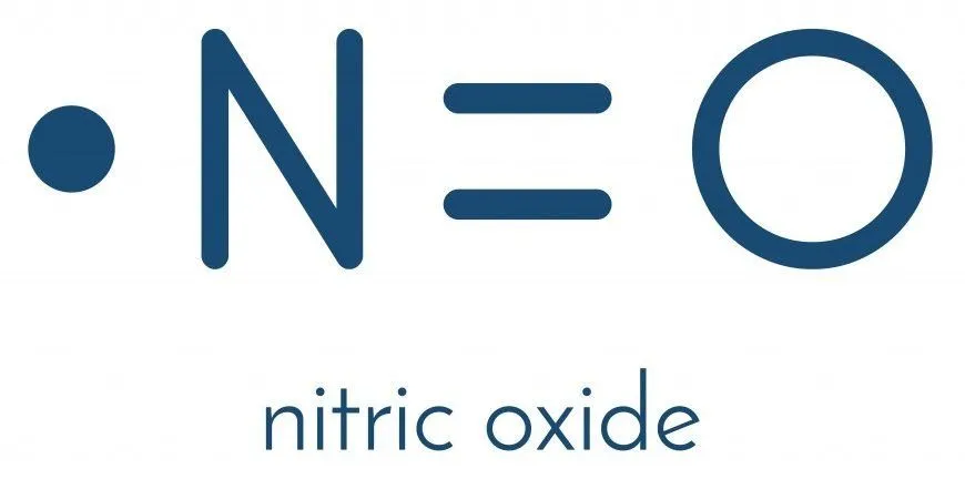 Nitric oxide (NO) free radical and signaling molecule. Skeletal formula. - Vector(molekuul_be)s