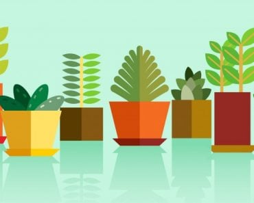 Plants - Vector(Dotx)S