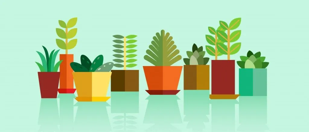 Plant Reproduction: How Do Plants Reproduce?