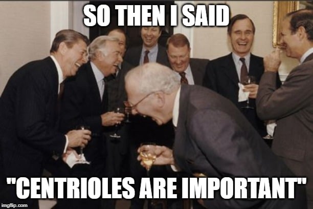 SO THEN I SAID CENTRIOLES ARE IMPORTANT