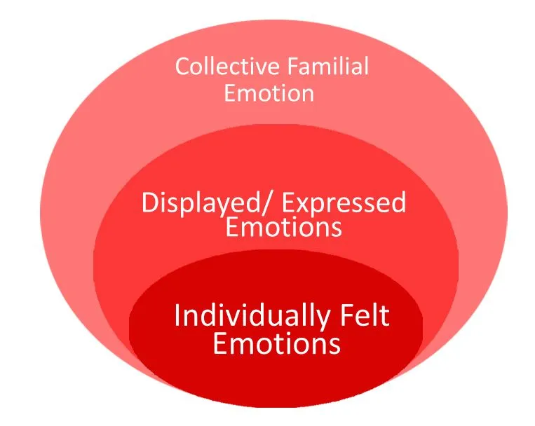 The ripples of emotion in a family