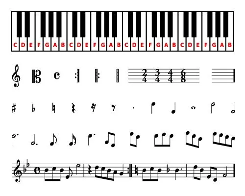 set of different sheet music symbols with piano keyboard - Vector(Toponium)s