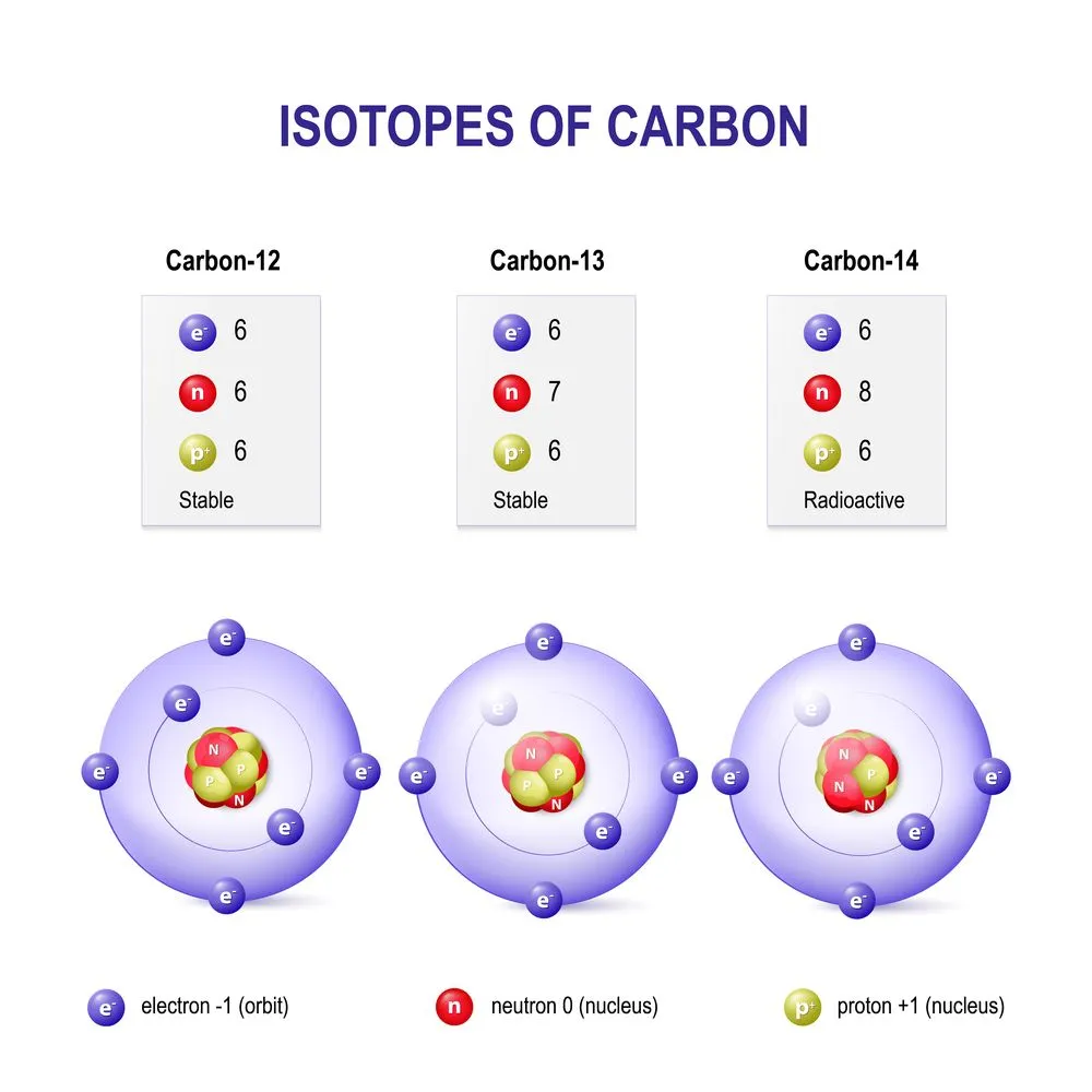 Carbon has three naturally occurring isotopes. Carbon-12  and carbon-13 are stable isotopes while carbon 14 is radioactive. (Photo Credit : Designua/ Shutterstock)